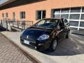 usato FIAT Punto