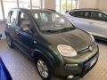 usato FIAT Panda
