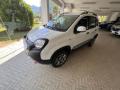 usato FIAT Panda Cross
