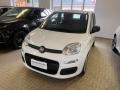 Km 0 FIAT Pandina