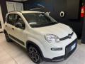 usato FIAT Panda