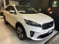 usato KIA Sorento