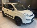 usato FIAT Panda