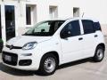 usato FIAT Panda