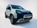 usato FIAT Panda