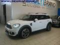 usato MINI Countryman