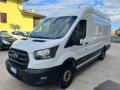 usato FORD Transit