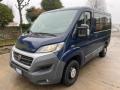 usato FIAT Ducato
