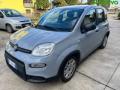 usato FIAT Panda