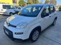 usato FIAT Panda