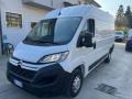 usato FIAT Ducato
