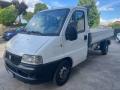 usato FIAT Ducato