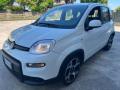 usato FIAT Panda