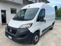 usato FIAT Ducato