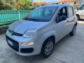 usato FIAT Panda