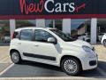 usato FIAT Panda