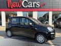 usato FIAT Panda