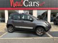 usato FIAT Panda Cross