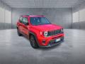 usato JEEP Renegade