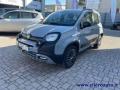 usato FIAT Panda Cross