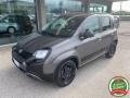 usato FIAT Panda