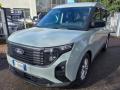 usato FORD Tourneo Courier