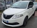 usato LANCIA Ypsilon