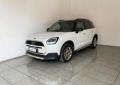 usato MINI Countryman