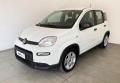usato FIAT Panda