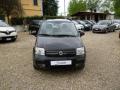 usato FIAT Panda