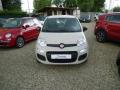 usato FIAT Panda