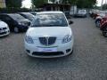 usato LANCIA Ypsilon