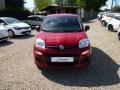 usato FIAT Panda