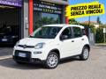 usato FIAT Panda