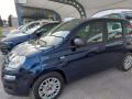 usato FIAT Panda