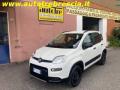 usato FIAT Panda