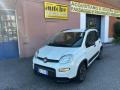 usato FIAT Panda