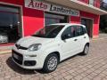 usato FIAT Panda