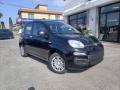 Km 0 FIAT Panda
