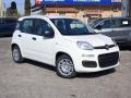 Km 0 FIAT Panda