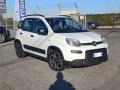 usato FIAT Panda