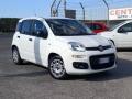usato FIAT Panda