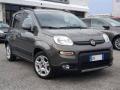 usato FIAT Panda