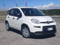 usato FIAT Panda