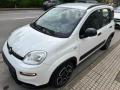 usato FIAT Panda