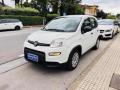 usato FIAT Panda
