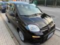 usato FIAT Panda