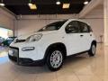 usato FIAT Panda