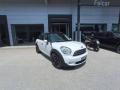 usato MINI Countryman