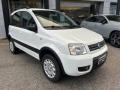 usato FIAT Panda